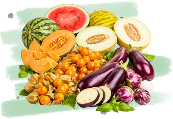 Verschiedene Gemüsearten wie Auberginen, Melonen und Physalis, dekorativ arrangiert auf grünem Hintergrund.