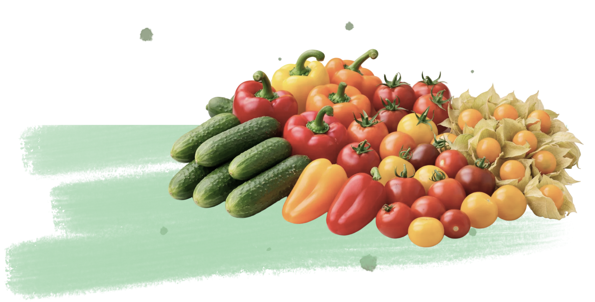 Gemüsemix aus Gurken, Paprika, Tomaten und Physalis auf grünem Hintergrund.